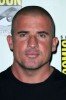 photo Dominic Purcell