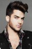 photo Adam Lambert (stem)