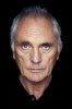 photo Terence Stamp