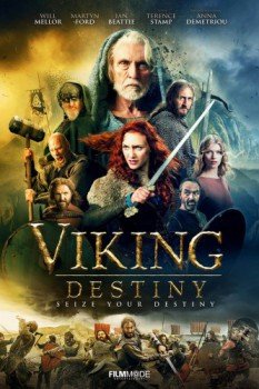 poster Viking Destiny&nbsp;&nbsp;(2018)